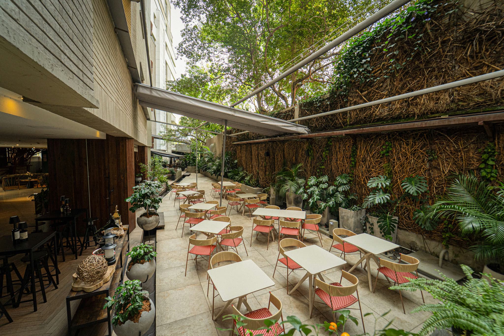 V Coffee & Bar