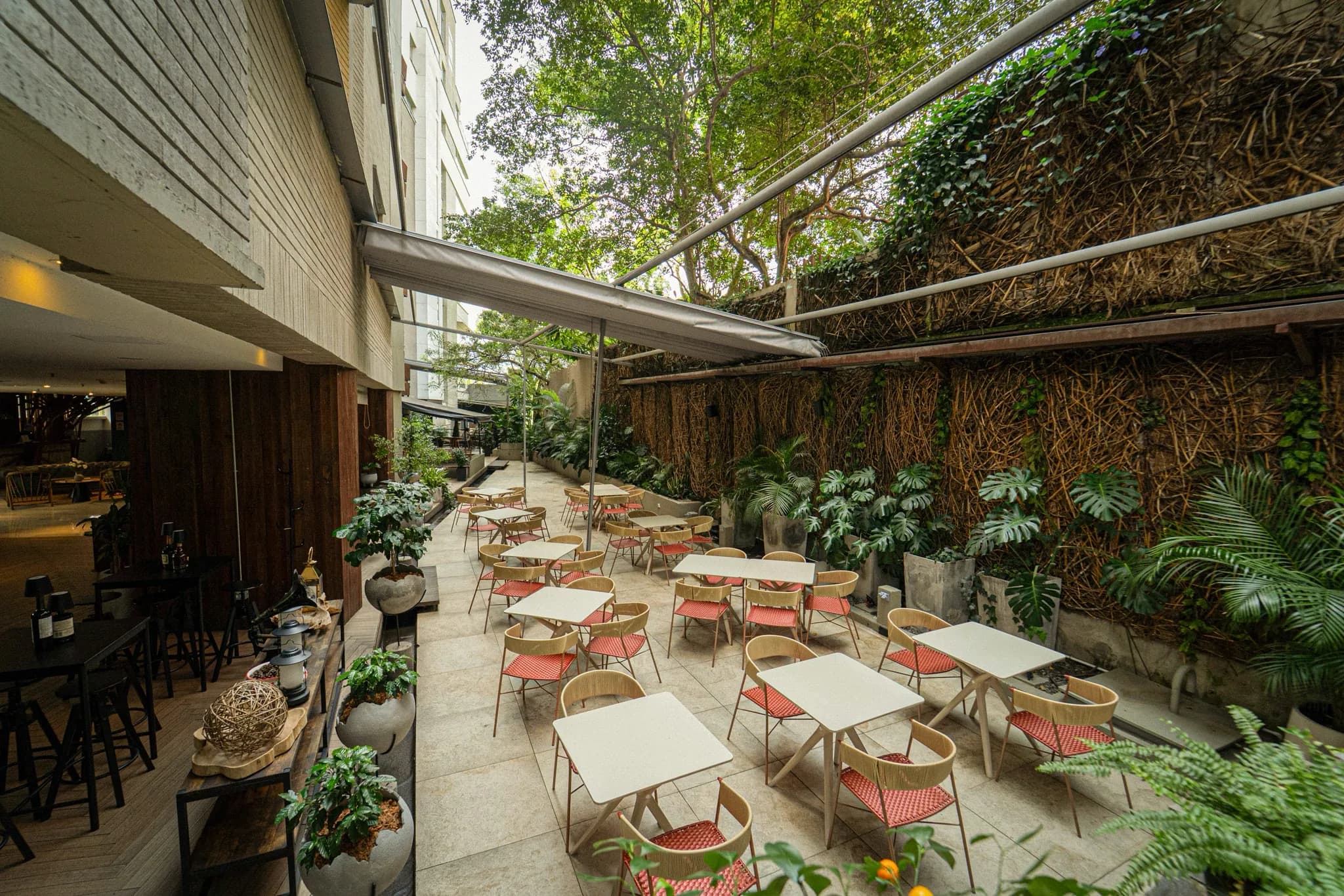 V Coffee & Bar